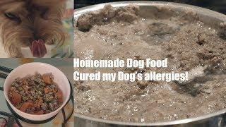 Homemade Dog Food Recipe! [Cured my Dog's allergies]