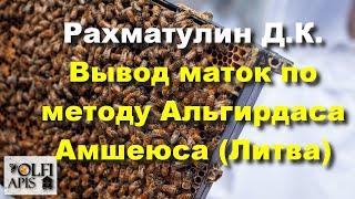 #Рахматулин Д.К. Вывод маток по методу Альгирдаса Амшеюса (Литва)