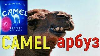 CAMEL с арбузной капсулой / Худший CAMEL в истории или лучший?