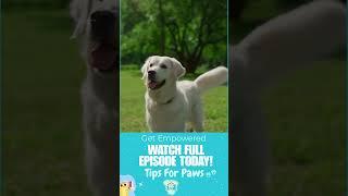 Quick Tips: Reading Your Dog’s Body Language!