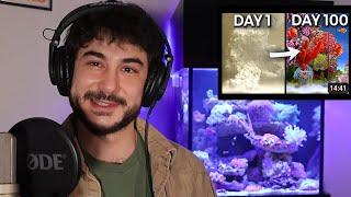 Aquarist Reacts to @TheDrPlants Reef Tank Build!