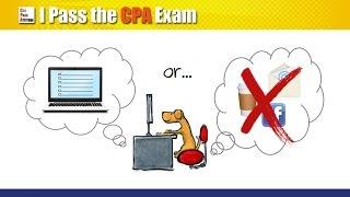 Just Failed the CPA Exam: Now what?