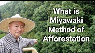 Miyawaki Forest I What is Miyawaki Method of Afforestation I Akira Miyawaki technique, urban forest