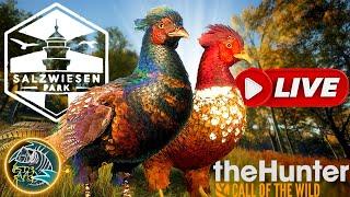 These Birds are GRINDING my Gears! Pheasant Hunting DAY 17! TheHunter: Call of the Wild!!