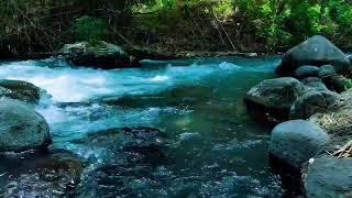 Birds singing, forest ambience, mountain waterfall, water sounds, ASMR