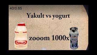 ZOOM 1000x : Bakteri baik pada yogurt dan yakult