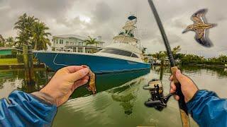 2 Days Fishing Live Shrimp, Duck Hunting, and Snipe Hunting Florida (Catch Clean Cook)