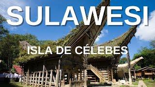 Sur de Sulawesi. Descubriendo la isla de Célebes.