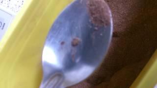 Nesquik with worms PART 2 MAY 08 2017