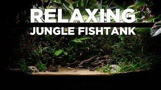 2 Hours of Relaxation Aquarium video with Calm Relaxing Music. Colorful fish and plants. ENJOY!