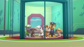 PAW Patrol OST - Elevator