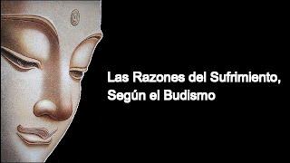 Las Razones del Sufrimiento Según el Budismo