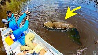 STRANGE SNAKE-LIKE MONSTER FISH in HIDDEN POND!! (RARE)