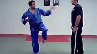 Learn a Side Kick from David Loshelder