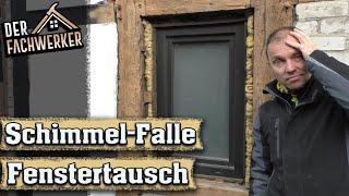 Schimmel im Haus durch neue Fenster? Warum lüften allein nicht hilft!