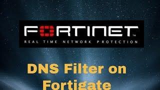 DNS Filter on Fortigate