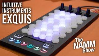 Intuitive Instruments Exquis MPE MIDI Controller at NAMM 2024