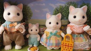 Unboxing the Latte Cat Family and comparing to other Sylvanian Cats- Sylvanian Families