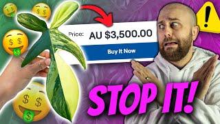 THIS MUST STOP!! Unboxing + Chat about eBay/Facebook Marketplace Plant Prices