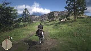 Best HDR Settings in Red Dead Redemption 2 (PS5/ Xbox Series X & PC)