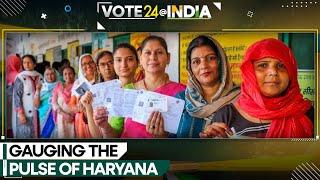 India General Elections: Can Congress revive itself in Haryana? | India News | WION