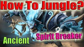 DoTa 2 How To Jungle Spirit Breaker Patch 7.34 Ancient farm afk