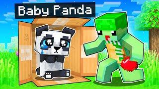 HELPING A Lost Baby Panda in Minecraft!