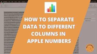 How To Separate Data Into Columns in Apple Numbers