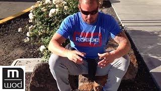 Low back ache test | Feat. Kelly Starrett | MobilityWOD