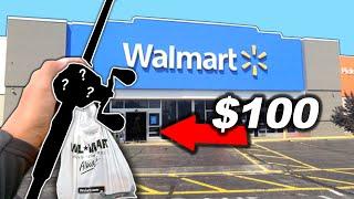 $100 Walmart Fishing Challenge!! (2022) Actually Surprising!