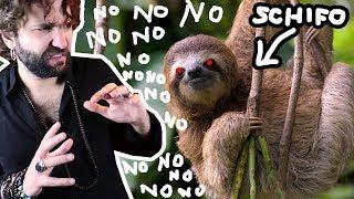 What you DIDN'T WANT TO KNOW about sloths - BAD SCIENCE