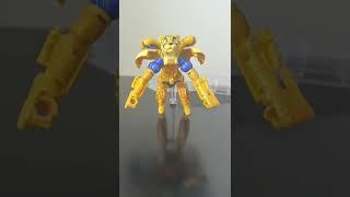 Cheetor Maximize (consistent frame rate)