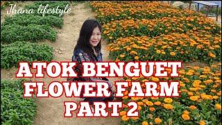 FLOWER FARM ATOK | jhana lifestyle