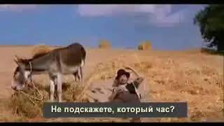 Яйца осла и точное время.