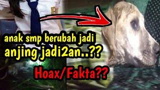 Anak SMP Berubah Jadi Anjing jadi jadian - viral lombok 2020