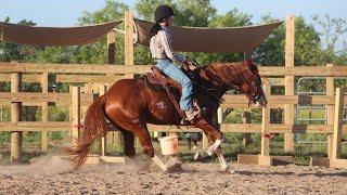 Mustangs, Unicycles, and Punctured Tires