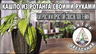 Самый простой и экономичный способ сделать кашпо для цветов своими руками. Плетём кашпо из ротанга