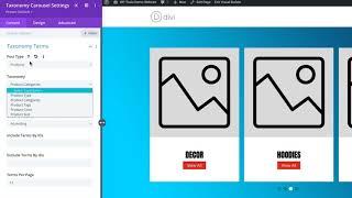 Filter Taxonomy Terms For "Divi Taxonomy Carousel" Module