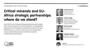 Critical minerals and EU-Africa strategic partnerships: where do we stand?