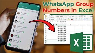 How to Export WhatsApp Group Contacts to Excel [Step-by-step] in Hindi @mraphicstudio