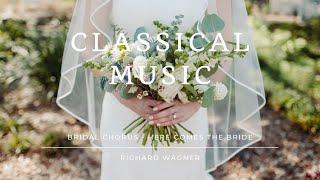 Bridal Chorus - Here Comes The Bride - Richard Wagner [CLASSICAL MUSIC] [CC Attribution]