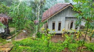 SUASANA SORE YANG TENANG, HUJAN TURUN DI KAMPUNG NAMBAH BETAH, HAWA DINGIN PEDESAAN SUNDA JAWA BARAT