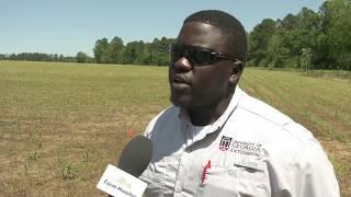 UGA Extension is Playing a Major Role in Helping Farmers