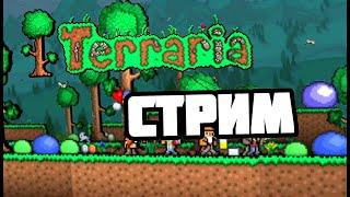 Продолжаем, Terraria!