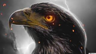 Eagle Eye 3D Animation Intro After Effect | No Copyright | No Text.