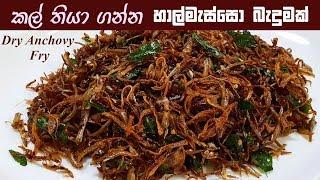 කල් තියා ගත හැකි හාල්මැස්සන් බැදුම  Fried Anchovies | Chammi