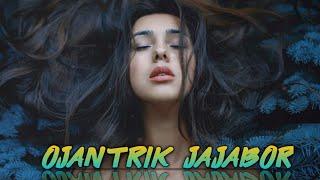 RISHAV - OJANTRIK JAKABOR | New Assamese EDM | UnOfficial Lyric Video |