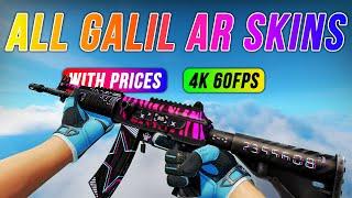 CS:GO ALL Galil AR Skins Showcase + Prices [4K 60FPS]