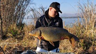 Hartbeespoort dam big fish and baits used