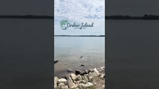 Dreher Island State Park